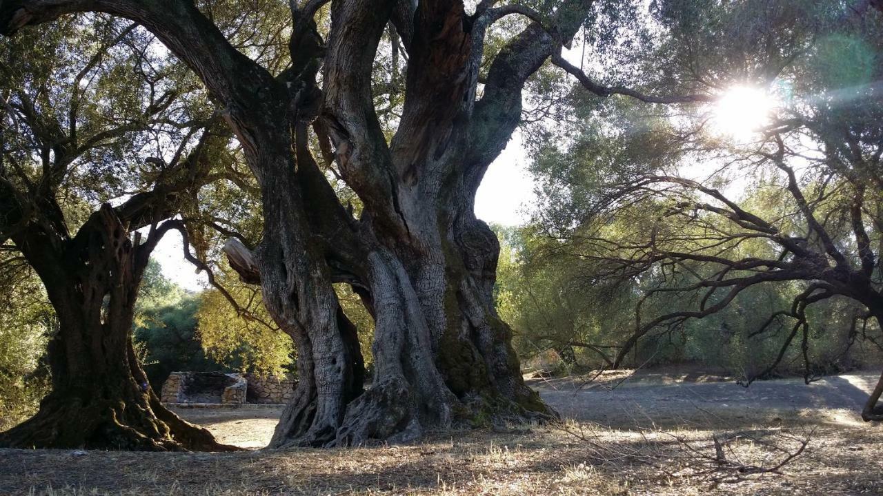 Il Giardino All'Angolo Villacidro Zewnętrze zdjęcie