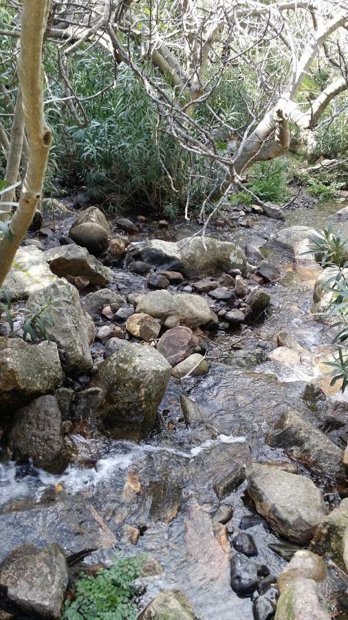 Il Giardino All'Angolo Villacidro Zewnętrze zdjęcie