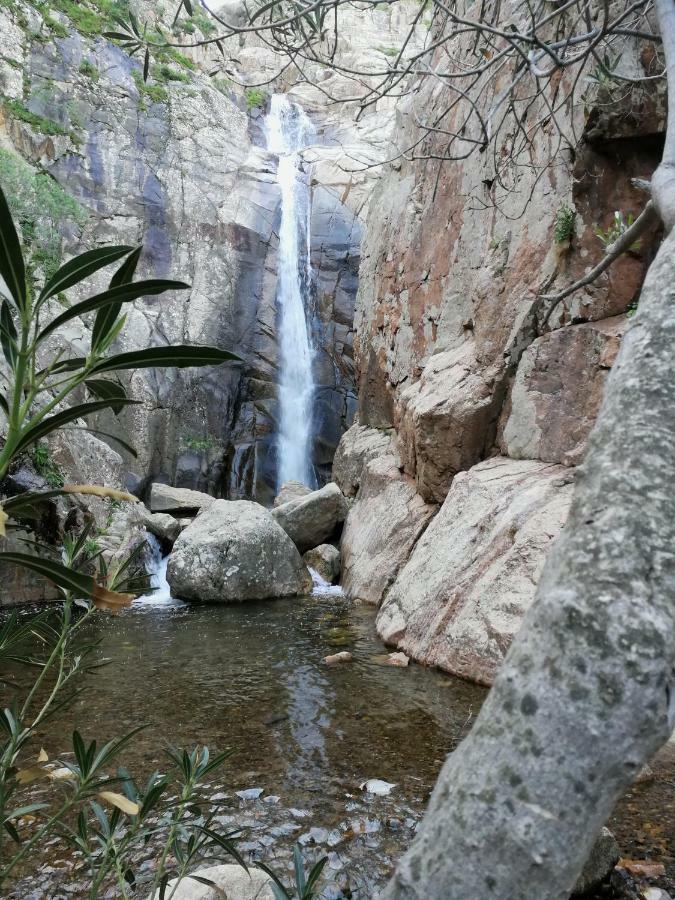 Il Giardino All'Angolo Villacidro Zewnętrze zdjęcie
