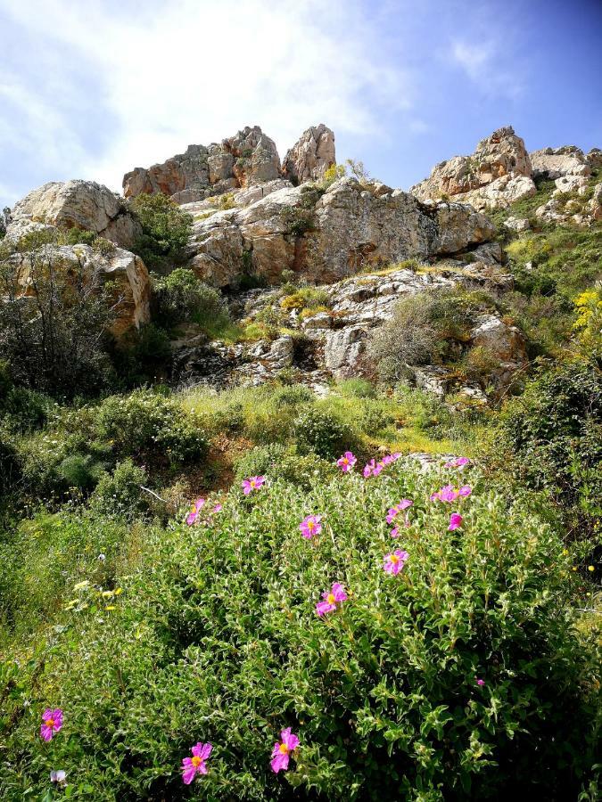 Il Giardino All'Angolo Villacidro Zewnętrze zdjęcie